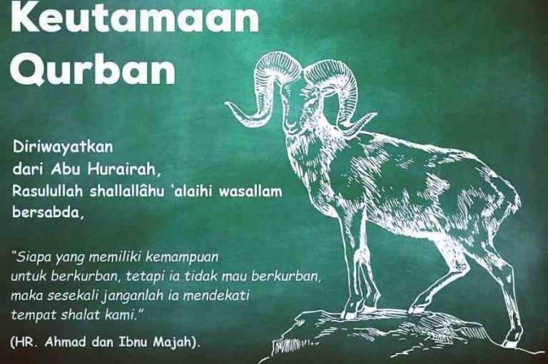 Hikmah dan Keutamaan Berkurban