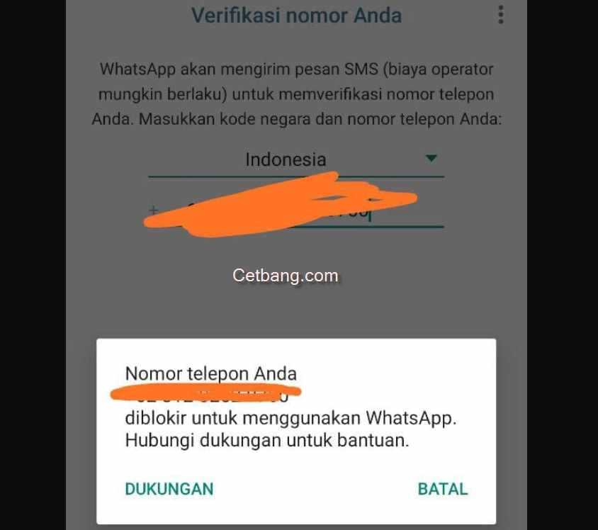 Cara Mudah Mengembalikan Akun WhatsApp Bisnis yang Kena